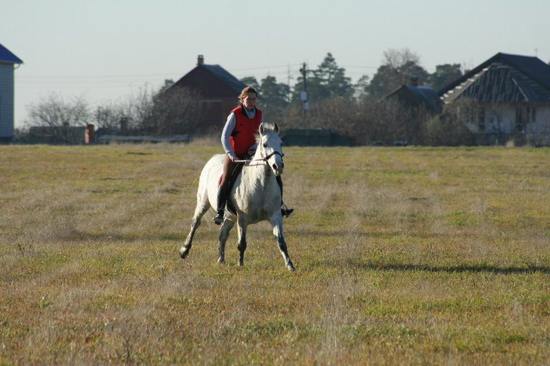 IMG_1163.jpg1.jpg"%20height="533"%20width="800